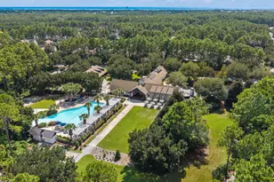 95 E Pollard Cove, Inlet Beach, FL 32461 - Photo 63
