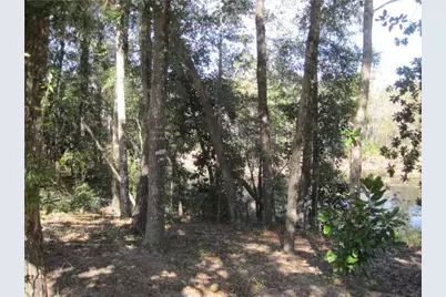 474 Mango, Freeport, FL 32439 - Photo 7