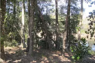 474 Mango, Freeport, FL 32439 - Photo 7