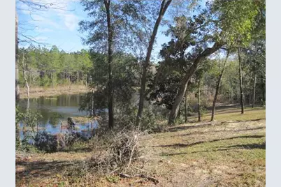 474 Mango, Freeport, FL 32439 - Photo 5