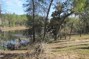 474 Mango, Freeport, FL 32439 - Photo 5