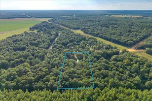 248 Redd Ln, Defuniak Springs, FL 32433 - Photo 9