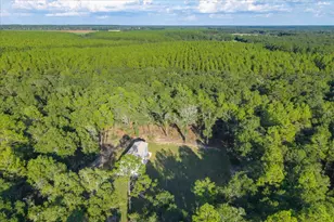 248 Redd Ln, Defuniak Springs, FL 32433 - Photo 13