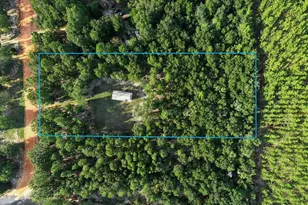 248 Redd Ln, Defuniak Springs, FL 32433 - Photo 3