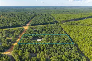 248 Redd Ln, Defuniak Springs, FL 32433 - Photo 7