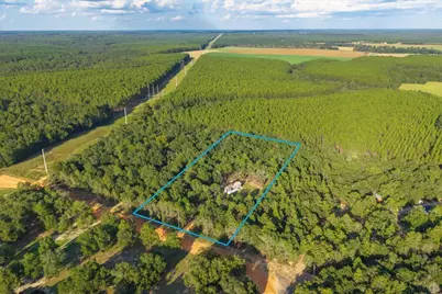 248 Redd Lane, Defuniak Springs, FL 32433 - Photo 5
