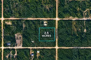 2 5 Acres NE 127th Ct, Bronson, FL 32621 - Photo 1