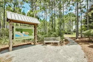 145 Catface Dr, Inlet Beach, FL 32461 - Photo 59