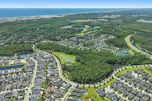 145 Catface Dr, Inlet Beach, FL 32461 - Photo 49