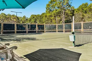 668 East Royal Fern Way, Santa Rosa Beach, FL 32459 - Photo 43