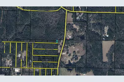 Lot 50/51 Poplar Drive, Vernon, FL 32462 - Photo 1