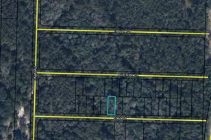 Lots 70/71 Elm St, Vernon, FL 32462 - Photo 1