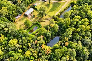 3032 Destiny Ln, Vernon, FL 32462 - Photo 43