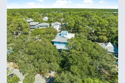 99 Magnolia Street, Santa Rosa Beach, FL 32459 - Photo 39
