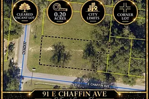 91 E Chaffin Ave, Defuniak Springs, FL 32433 - Photo 1