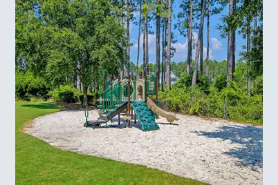 137 Needle Cast Lane, Inlet Beach, FL 32461 - Photo 119