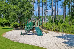 137 Needle Cast Ln, Inlet Beach, FL 32461 - Photo 119