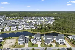 137 Needle Cast Ln, Inlet Beach, FL 32461 - Photo 129