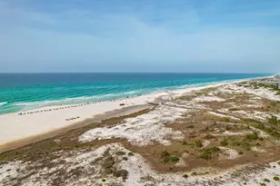 17 Siasconset Ln, Inlet Beach, FL 32461 - Photo 61