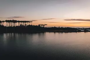 110 Conner Cir, Santa Rosa Beach, FL 32459 - Photo 59