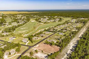 Tbd Brushed Dune Circle, Freeport, FL 32439 - Photo 17