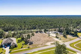 Tbd Brushed Dune Circle, Freeport, FL 32439 - Photo 5