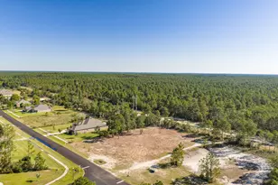 Tbd Brushed Dune Circle, Freeport, FL 32439 - Photo 3