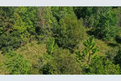 0000 Windy Lewis Road, Bonifay, FL 32425 - Photo 17