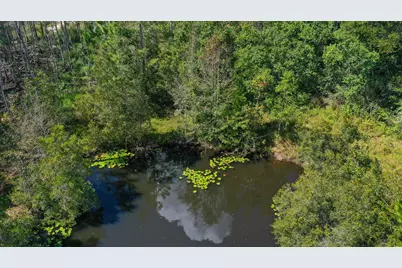 0000 Windy Lewis Road, Bonifay, FL 32425 - Photo 15