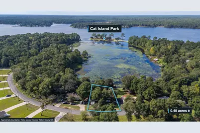 699 Squirrel Road, Defuniak Springs, FL 32433 - Photo 1