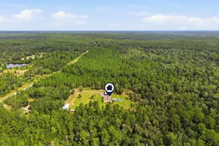 6019 Old River Rd, Baker, FL 32531 - Photo 95