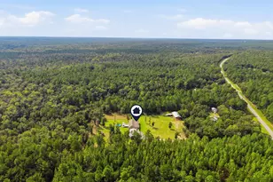 6019 Old River Rd, Baker, FL 32531 - Photo 91