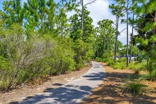 70 Prairie Pass, Santa Rosa Beach, FL 32459 - Photo 83