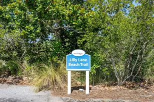 70 Prairie Pass, Santa Rosa Beach, FL 32459 - Photo 85