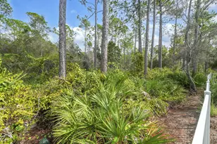 70 Prairie Pass, Santa Rosa Beach, FL 32459 - Photo 21