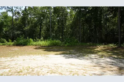 107 Canary Drive, Freeport, FL 32439 - Photo 3