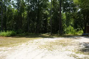 107 Canary Dr, Freeport, FL 32439 - Photo 1