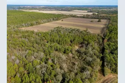 0000 N Bob Brooks Road, Baker, FL 32531 - Photo 3
