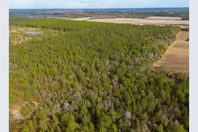 0000 N Bob Brooks Road, Baker, FL 32531 - Photo 5
