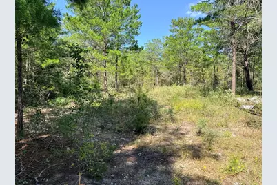 870 Watson Road M, Defuniak Springs, FL 32433 - Photo 7