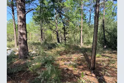 870 Watson Road M, Defuniak Springs, FL 32433 - Photo 9