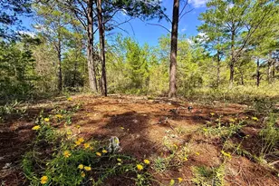 870 Watson Road M, Defuniak Springs, FL 32433 - Photo 1