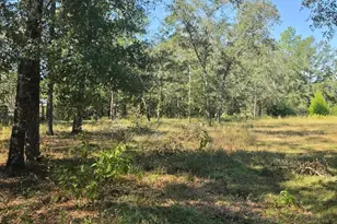 3091 Kings Lake, Defuniak Springs, FL 32433 - Photo 1