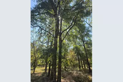 3091 Kings Lake, Defuniak Springs, FL 32433 - Photo 3