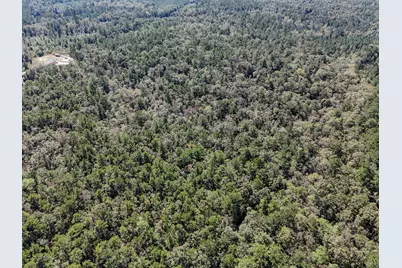 2.34 Ac C J Laird Road, Ponce de Leon, FL 32455 - Photo 5