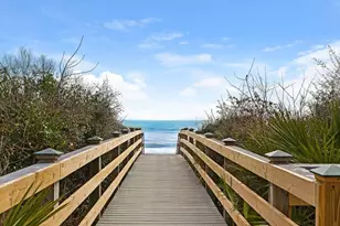249 E Lifeguard Loop, Inlet Beach, FL 32461 - Photo 67