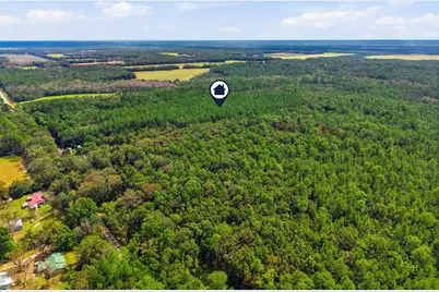 Tbd Steele Road, Baker, FL 32531 - Photo 3