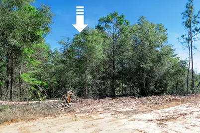 Lot 9 Leonardo Court, Defuniak Springs, FL 32433 - Photo 1