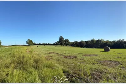 15.97 Ac. Hwy 183 A #Parcel B, Ponce de Leon, FL 32455 - Photo 5