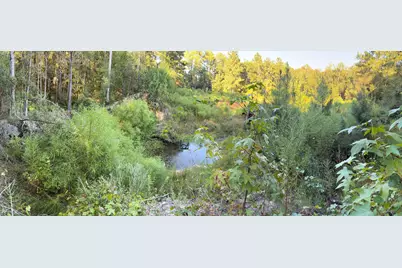 15.97 Ac. Hwy 183 A #Parcel B, Ponce de Leon, FL 32455 - Photo 3